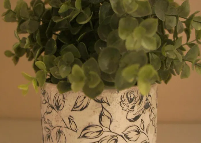 Quiet Koscielna Poznan