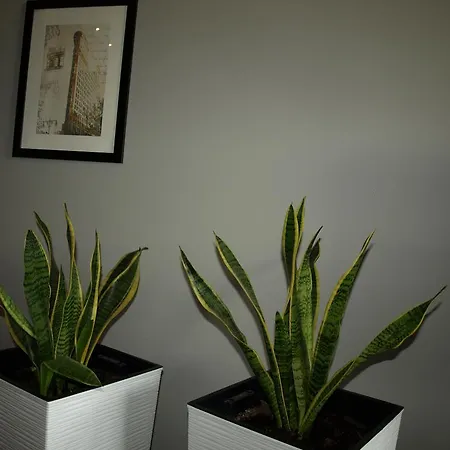 Apartamento Quiet Koscielna